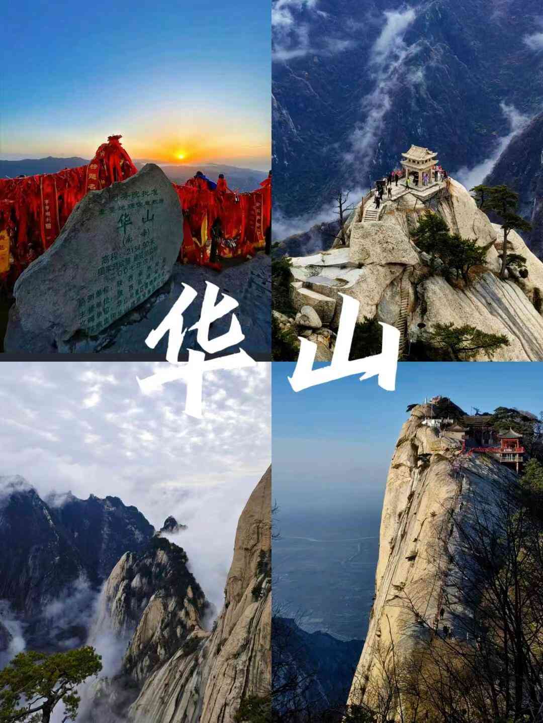4256
